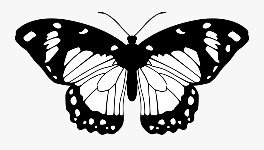 Black And White Drawings Of Butterflies - Butterfly Black And Pink, Transparent Clipart