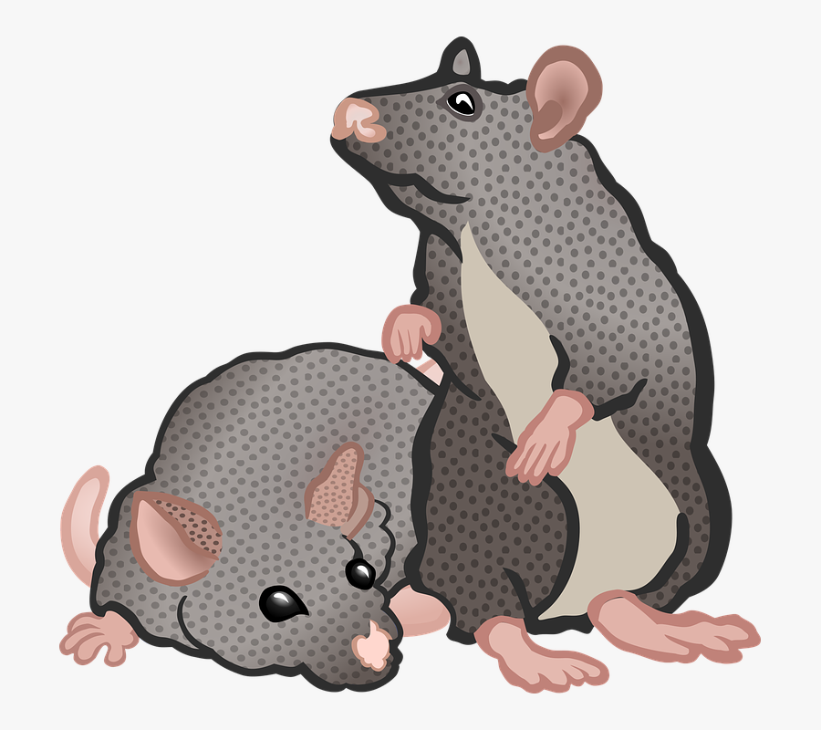 Transparent Rat Mouse Clipart - Mices Clipart, Transparent Clipart