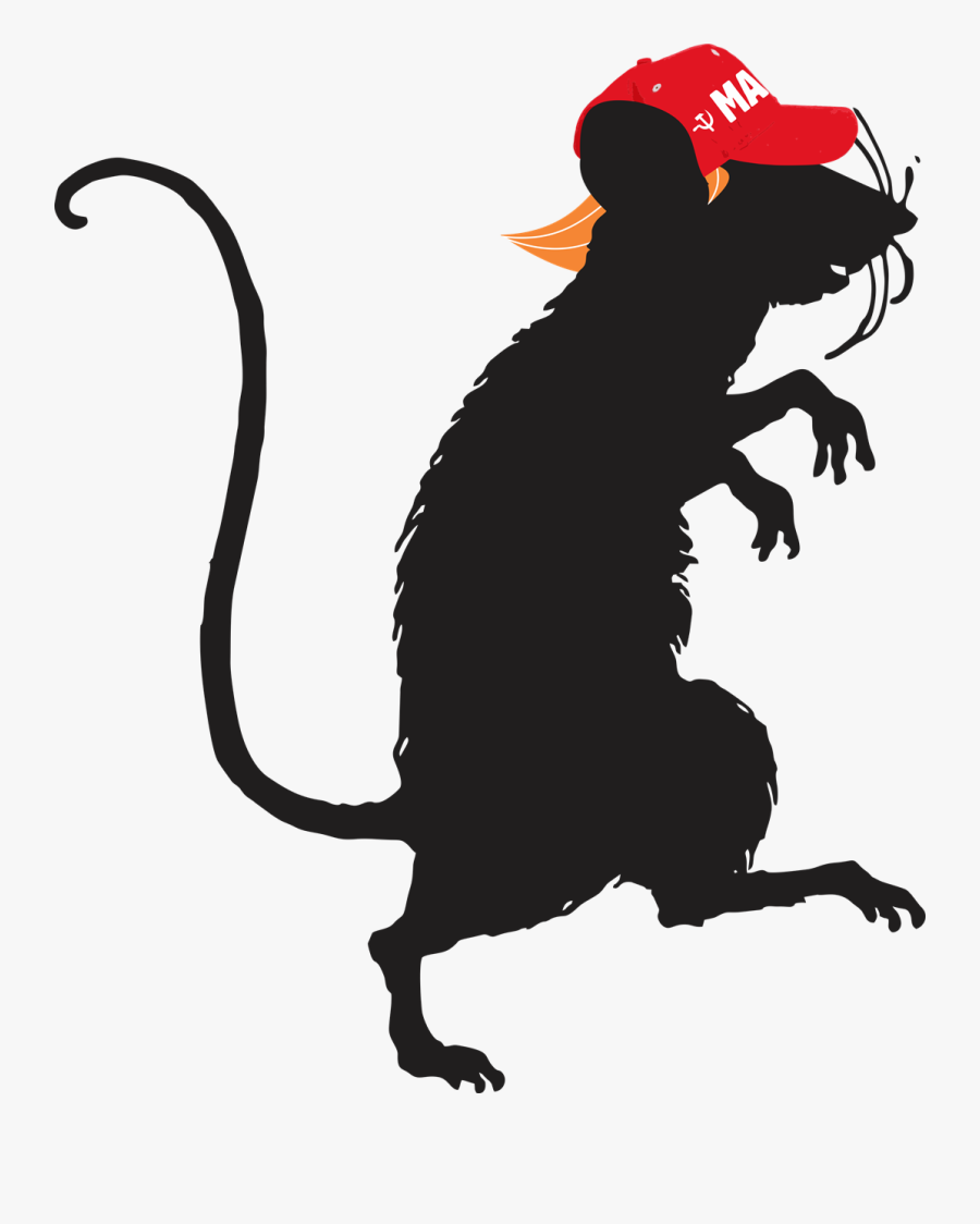 Laboratory Rat Mouse Silhouette Clip Art - Ratas Blanco Y Negro, Transparent Clipart