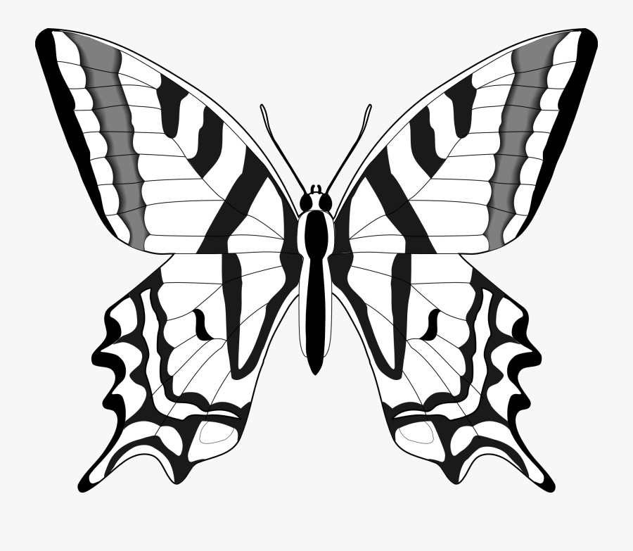 Butterfly Black And White Butterfly Clipart Black And - Butterfly Clipart Black And White, Transparent Clipart