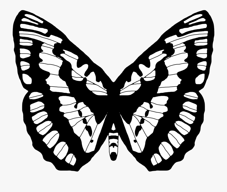 Black And White Butterfly 2 Clip Arts - Storytelling Butterfly, Transparent Clipart