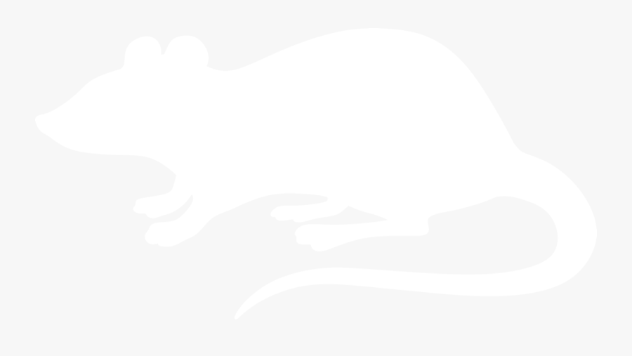 Rat Silhouette Png - White Rat Silhouette, Transparent Clipart
