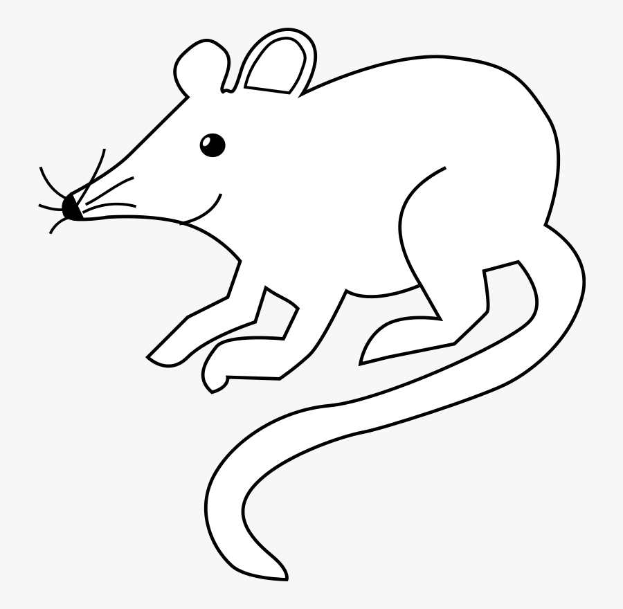 Mouse, Rodent, Rat, Field Mouse, Pest, Lab Rat - Mouse Clip Art, Transparent Clipart
