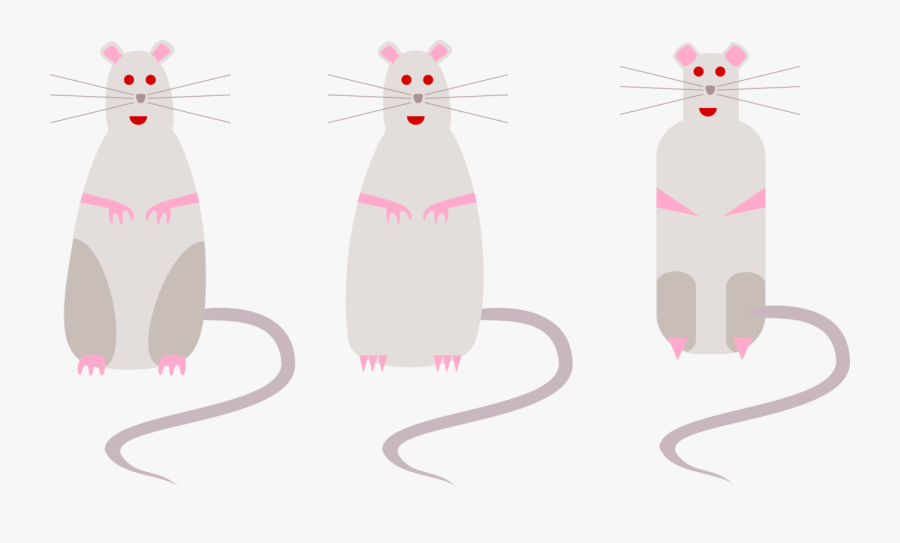 Pink,muridae,tail - Mouse, Transparent Clipart