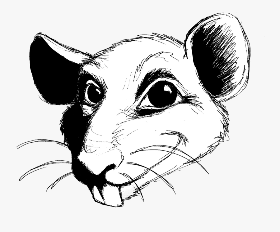 Transparent Rat Clip Art - Rat, Transparent Clipart