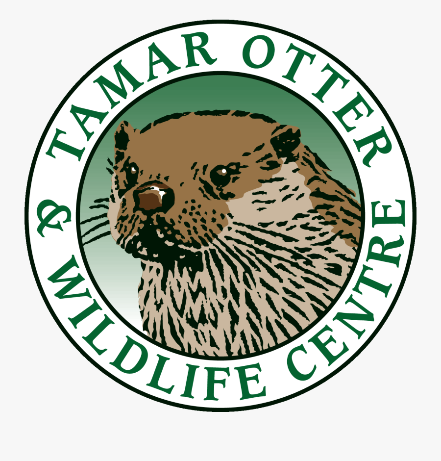 Gotham Girls Junior Derby, Transparent Clipart