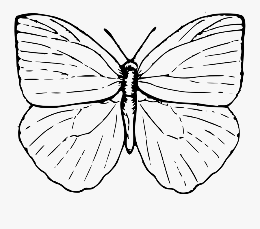 Butterfly 2 Clipart, Vector Clip Art Online, Royalty - Butterfly Clip Art, Transparent Clipart