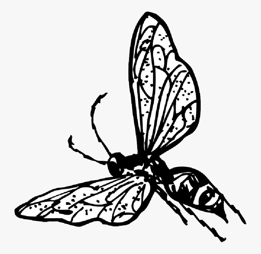 Collection Of Free Bee Drawing Butterfly Download On - Wasp Clip Art, Transparent Clipart