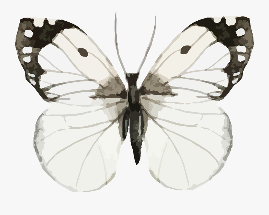 Butterfly Clipart Pretty - Watercolor Painting, Transparent Clipart