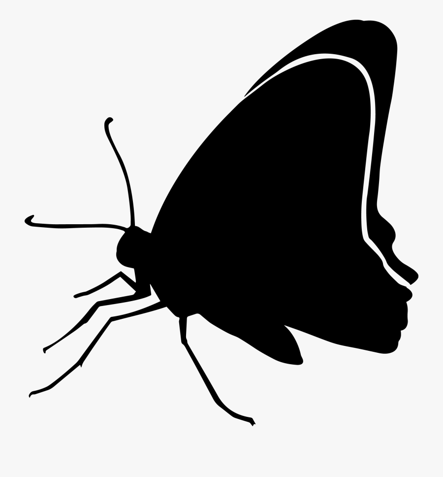 15 / Black Butterfly Clip Art Silhouette Image - Butterfly, Transparent Clipart