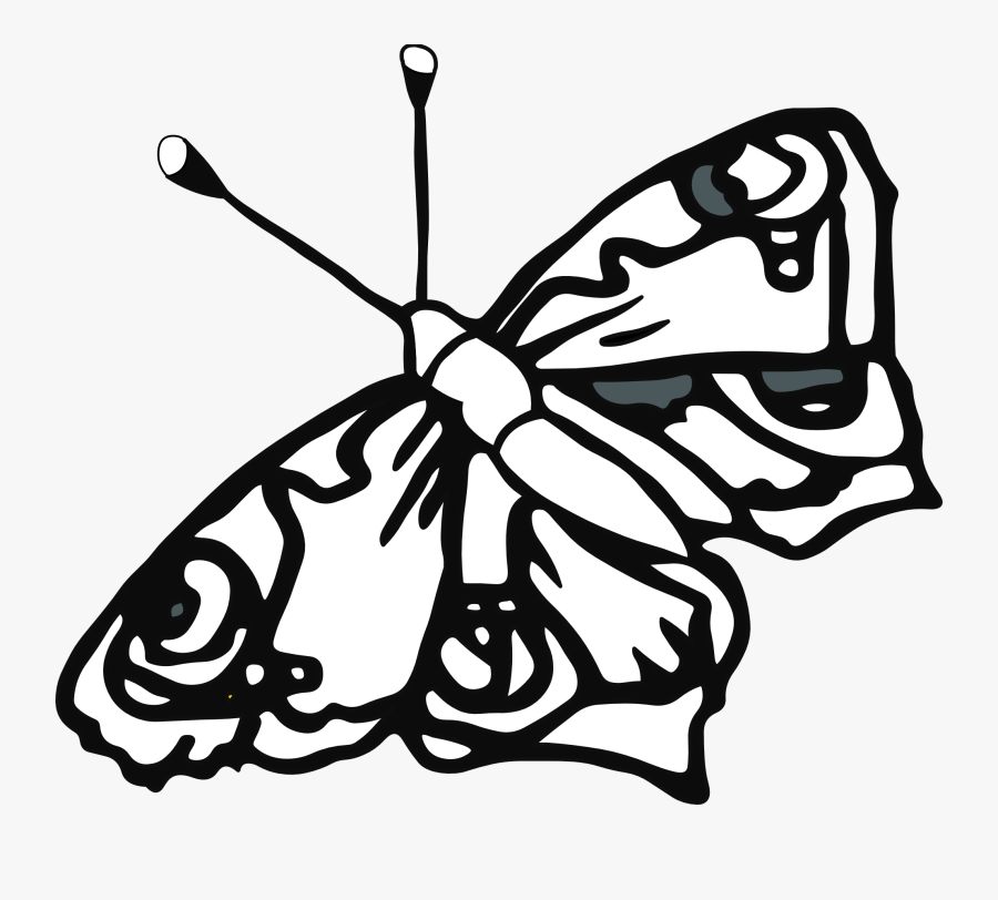Butterfly Drawings In Black And White - Butterfly Coloring Pages, Transparent Clipart