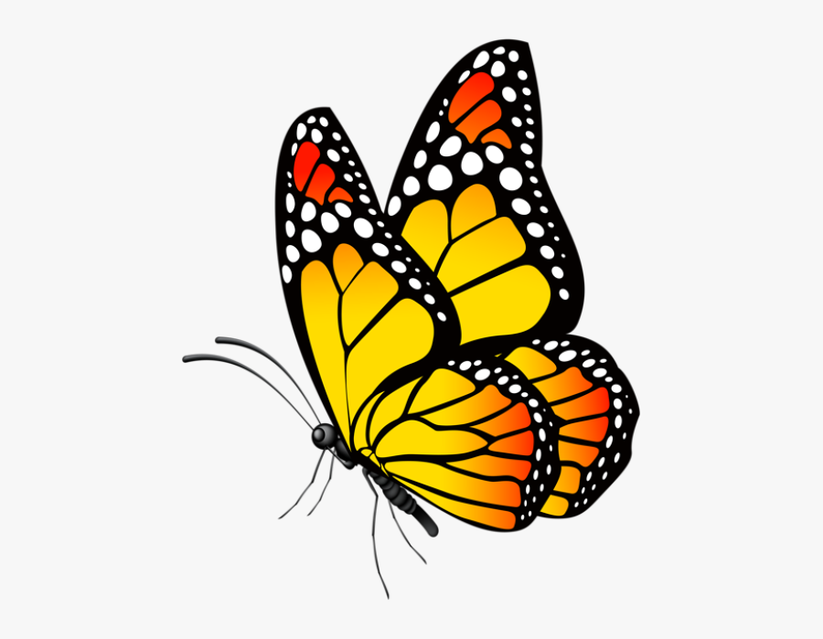 Yellow Butterfly Clipart Png, Transparent Clipart