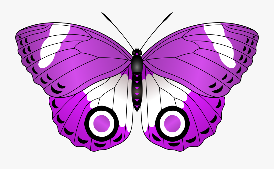 Butterfly Clipart Ribbon - Butterfly Clipart Png, Transparent Clipart