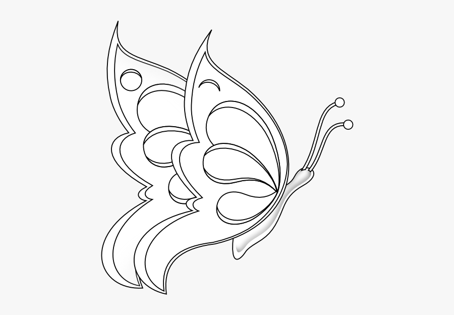 Butterfly 19 Black White Line Art 555px - Drawing Of A Butterfly Sitting On A Flower, Transparent Clipart