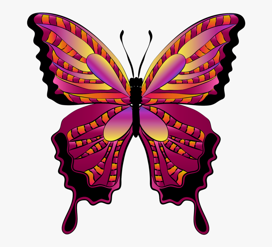 Butterfly Clipart, Transparent Clipart