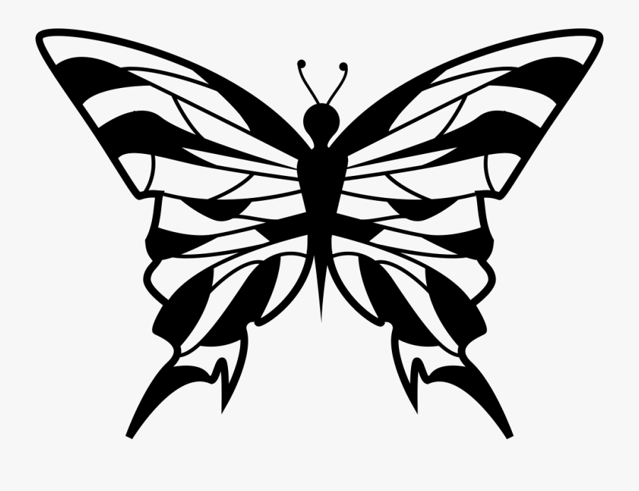Clip Art Butterfly Top View - Portable Network Graphics, Transparent Clipart