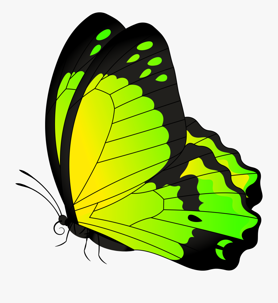 Butterfly Yellow Green Transparent Clip Art Image - Blue Butterfly Clip Art, Transparent Clipart