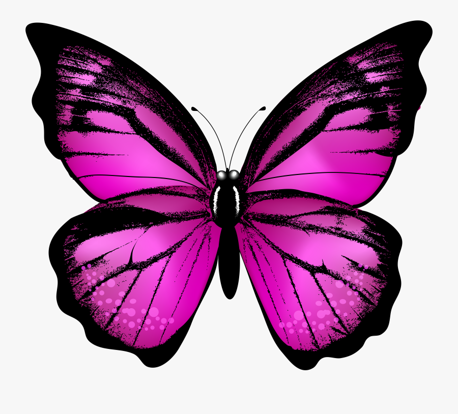 Clip Art Butterfly Transparent Clip Art, Transparent Clipart