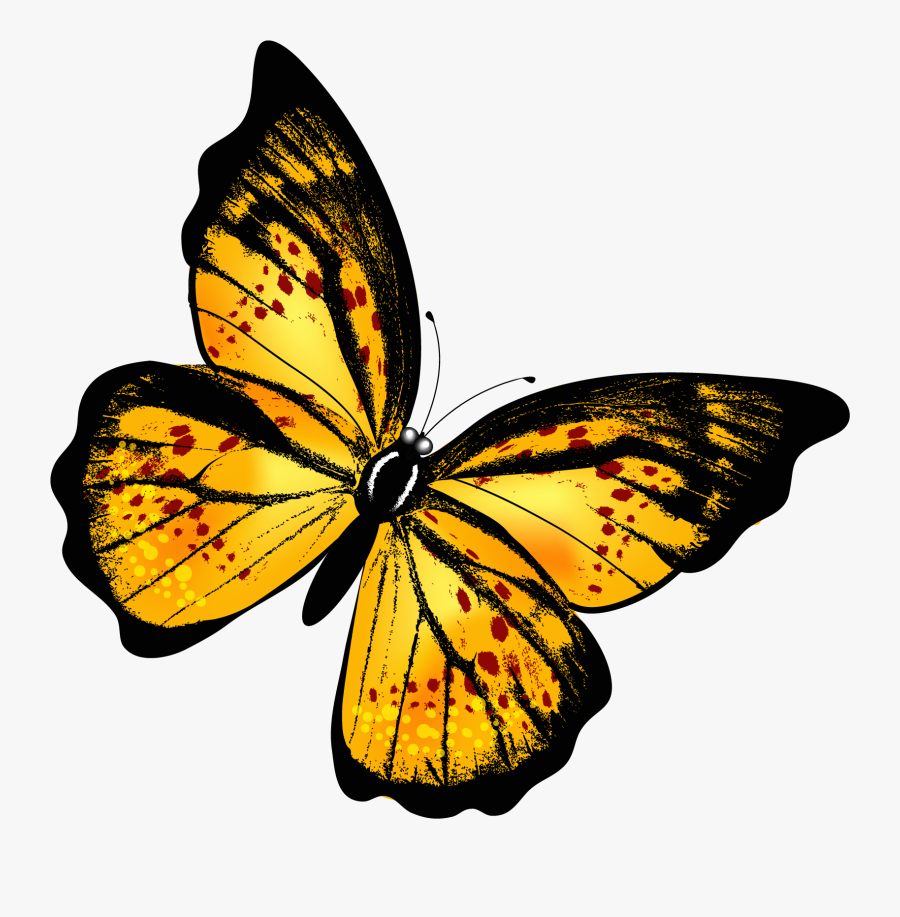 Yellow Butterfly Clipart - Yellow Butterfly Transparent Background, Transparent Clipart