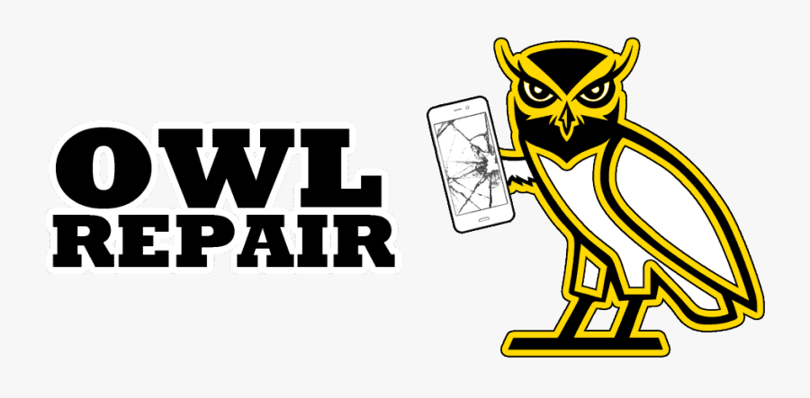 Owl Repair - Cartoon, Transparent Clipart