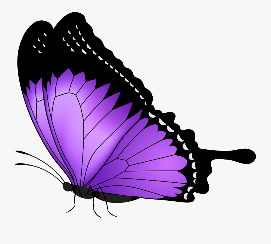 Purple Butterfly Transparent Png Clip Art Image, Transparent Clipart