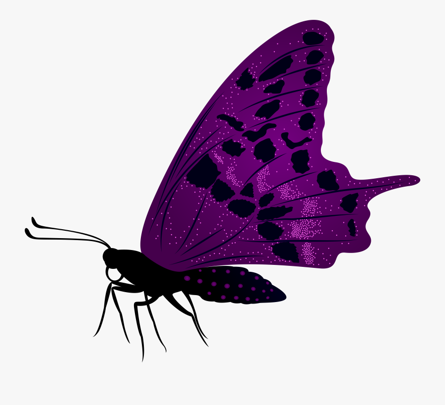 Large Purple Butterfly Png Clip Art Imageu200b Gallery, Transparent Clipart