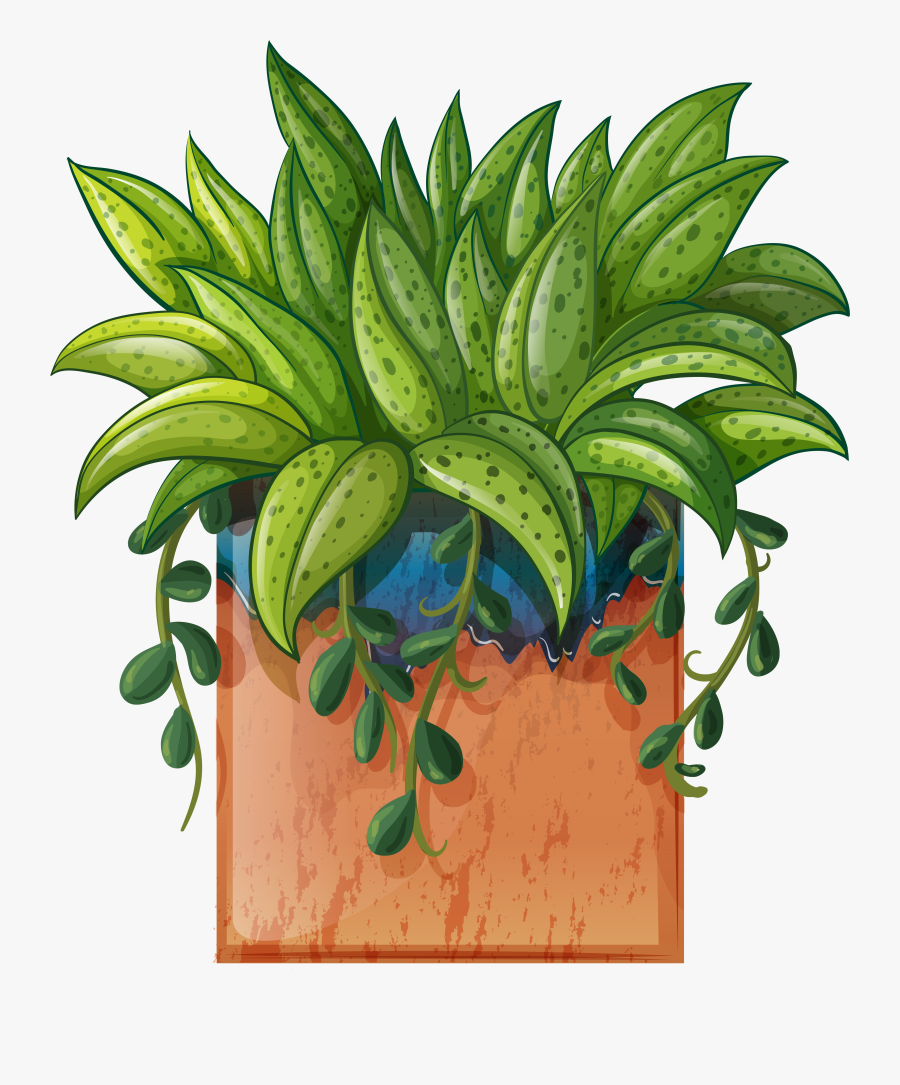 Clip Art Garden Plants Clipart - Indoor Plants Clip Art Png, Transparent Clipart