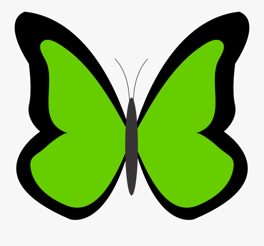 Echinacea - Clipart - Clip Art Blue Butterfly, Transparent Clipart