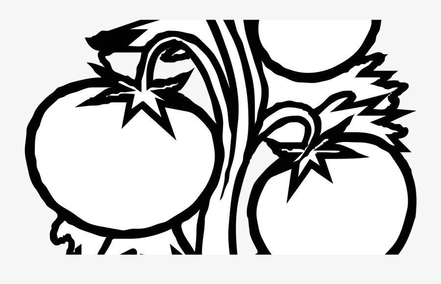 Transparent Power Plants Clipart - Tomato Plant Black And White, Transparent Clipart