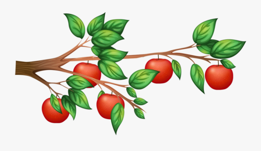 #شجرة #عشب #تفاح #apple #tree #garden - Apple Tree Branch Clip Art, Transparent Clipart