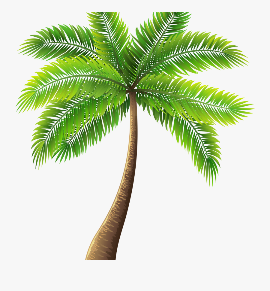 Transparent Palm Tree Png, Transparent Clipart