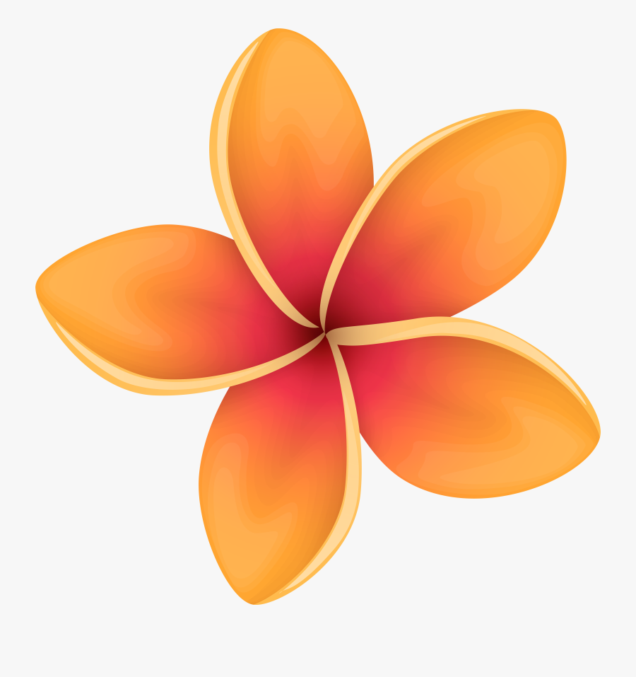 Orange Tropical Flower Png Clip Art Image , Png Download, Transparent Clipart