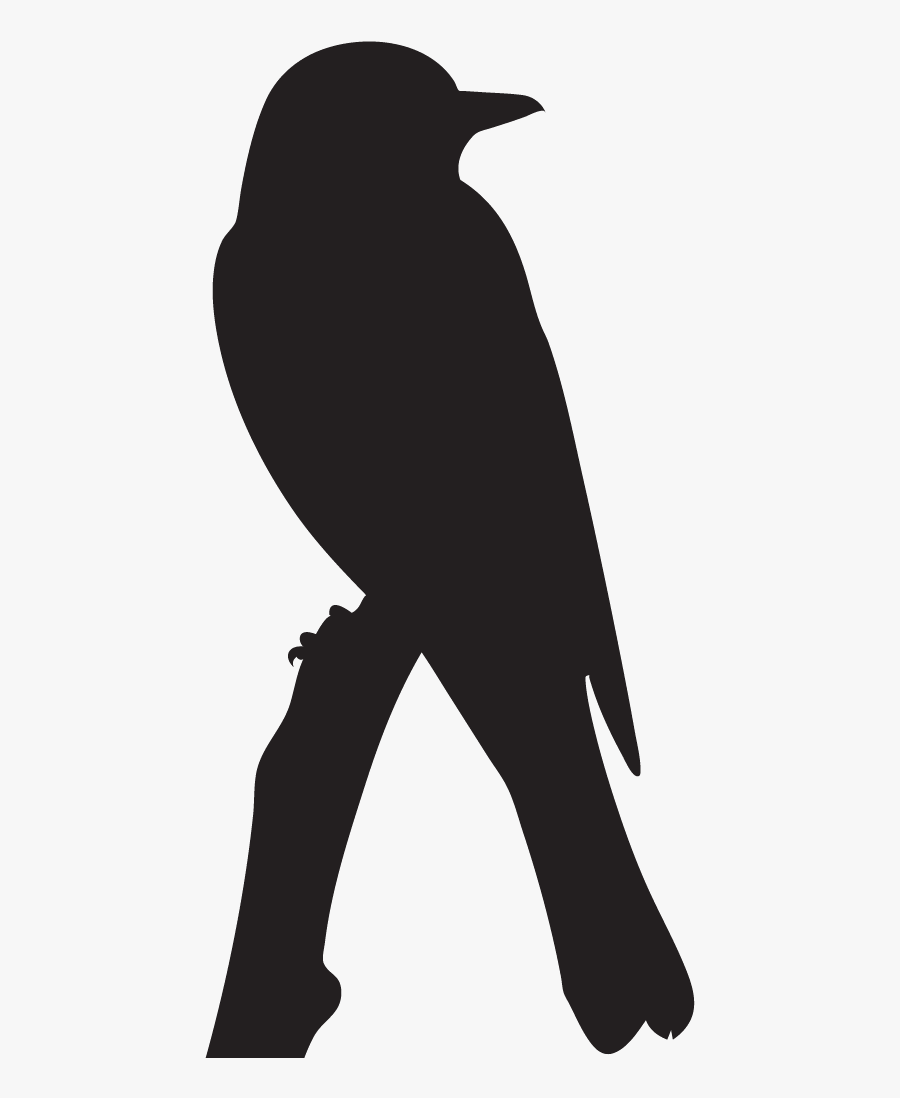 Western Kingbird Silhouette, Transparent Clipart