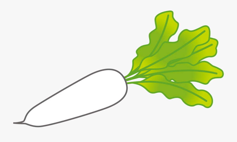 Pickle Clipart Sliced - Daikon Png, Transparent Clipart