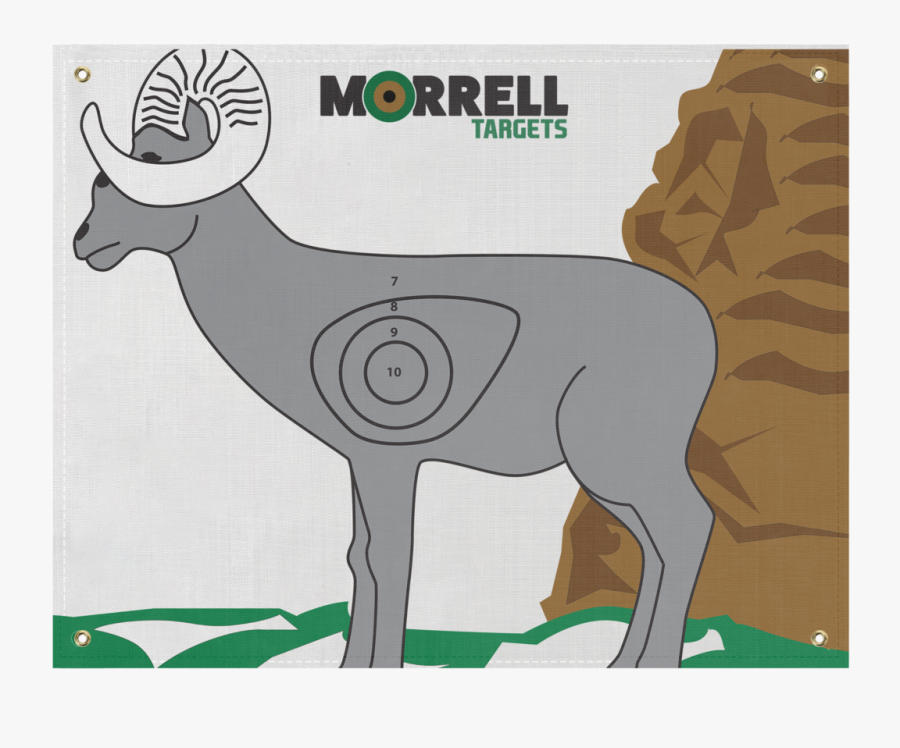 O/nasp Polypropylene Archery Target Face - Face Target 3d Archery, Transparent Clipart