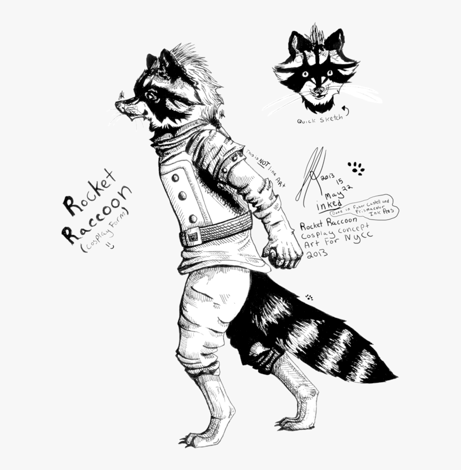 Racoon Clipart Chester - Illustration, Transparent Clipart