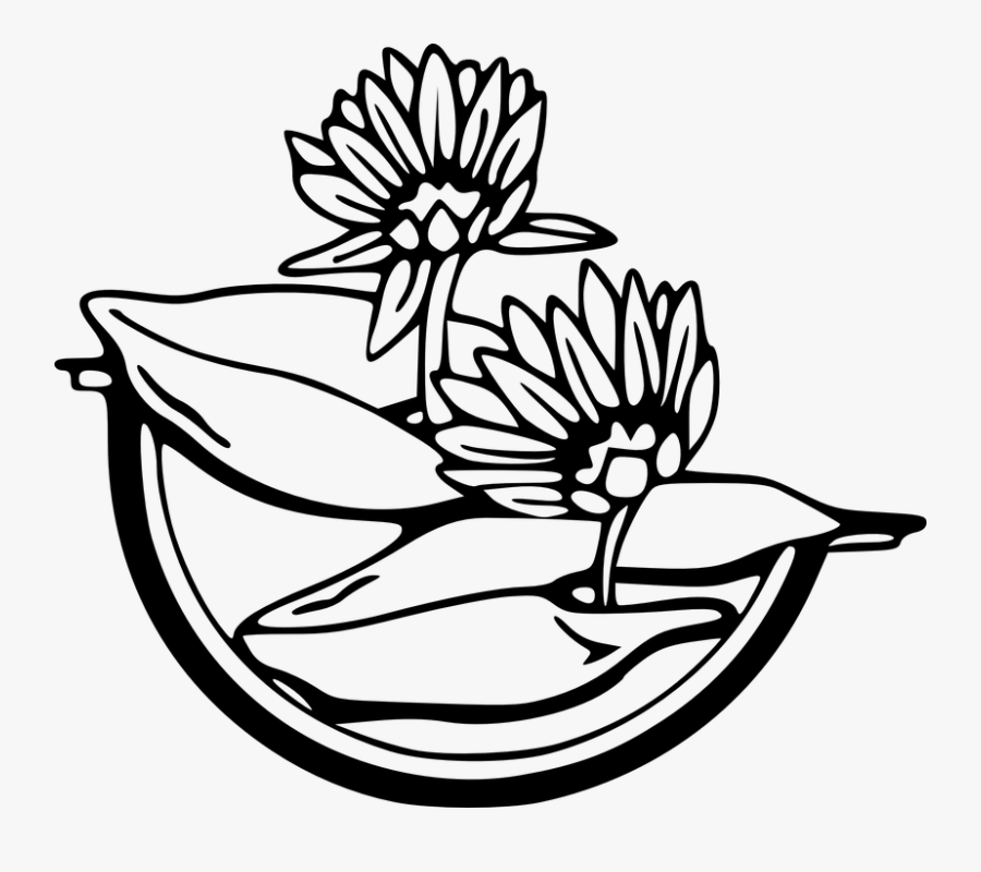 Water Lily Clipart Black And White, Transparent Clipart