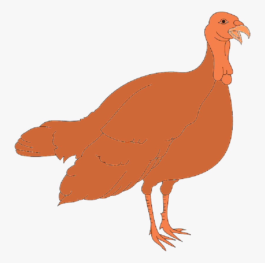 Thanksgiving, Turkey, Bird, Wings, Animal, Feathers - Turkey Meat, Transparent Clipart