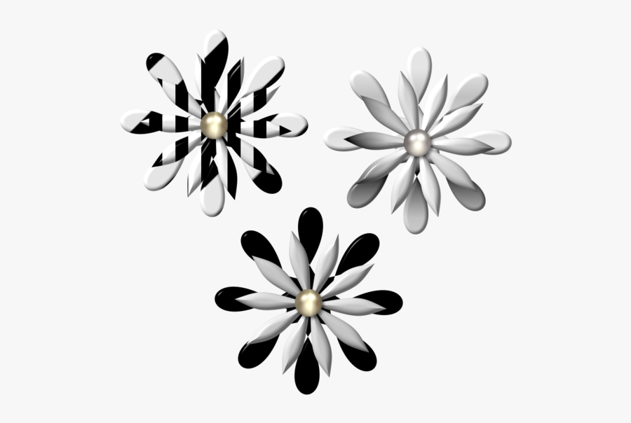 Kiwi Bop, Transparent Clipart