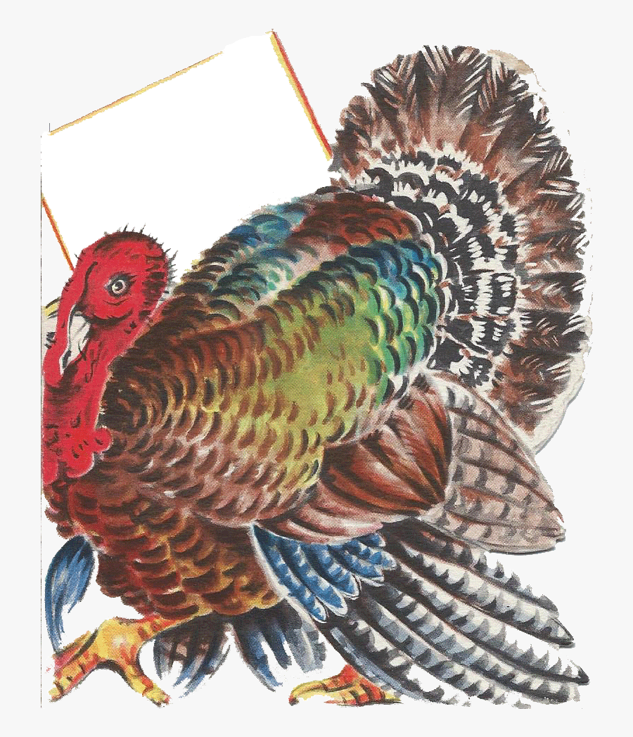 Turkey, Transparent Clipart