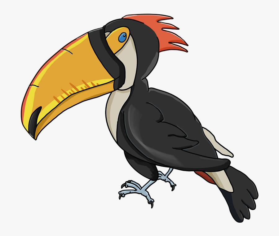 Toucan Images - Beak Cartoon, Transparent Clipart