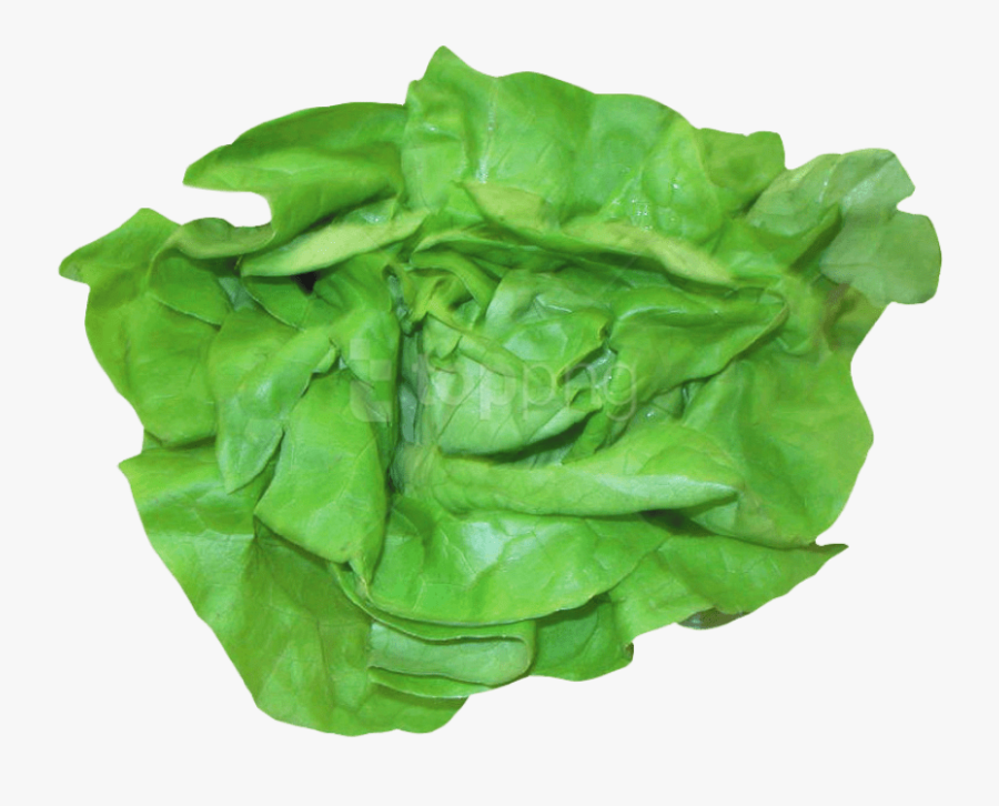 Fresh Lettuce Png - Lettuce For Sandwich, Transparent Clipart