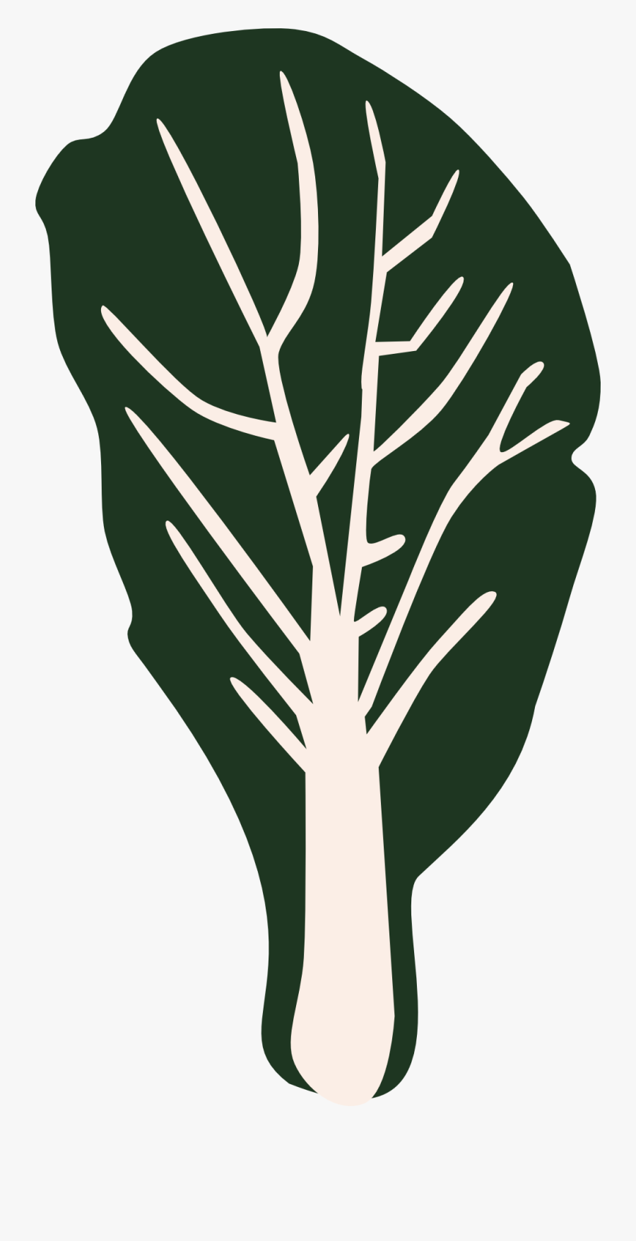 Set Of Vegetables Clip Art Png, Transparent Clipart