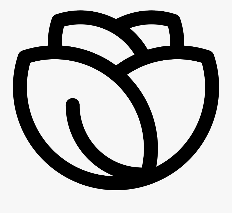Romaine Lettuce - White Lettuce Icon Png, Transparent Clipart