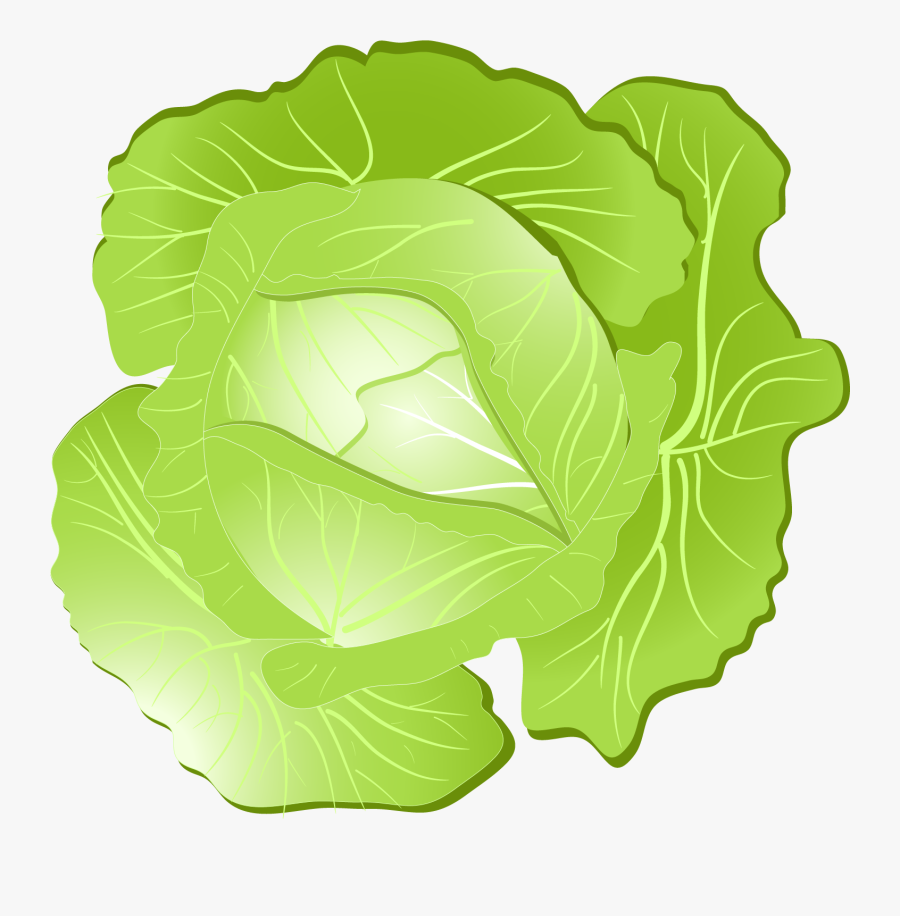 Collard Greens, Transparent Clipart