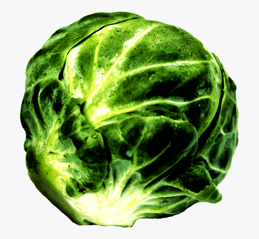 Savoy Cabbage,lettuce,food - Brussel Sprouts .png, Transparent Clipart