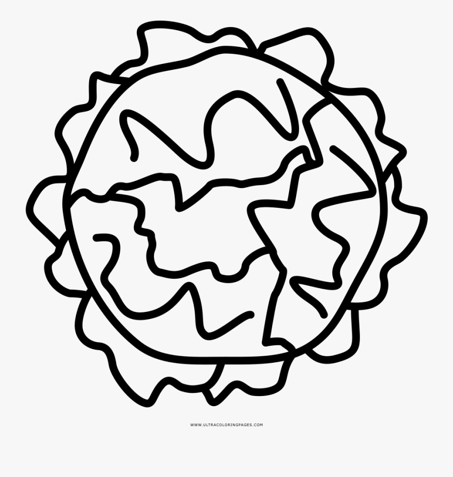 Lettuce Coloring Page , Free Transparent Clipart - ClipartKey