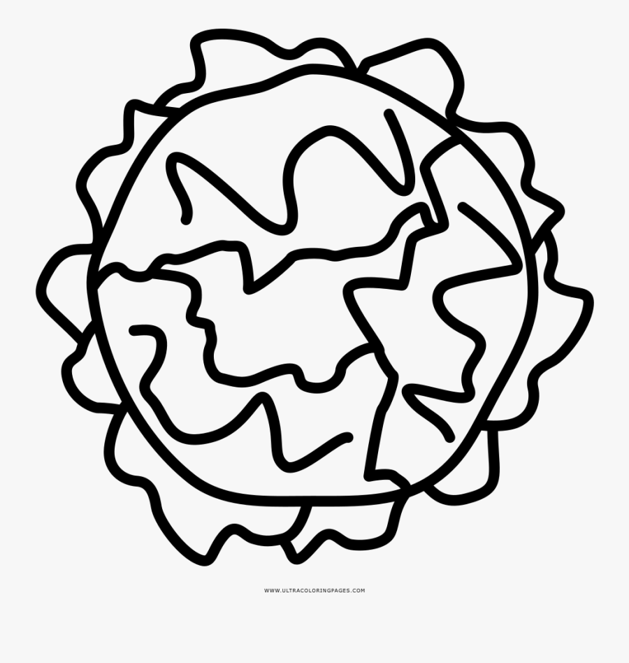 Lettuce Coloring Page, Transparent Clipart