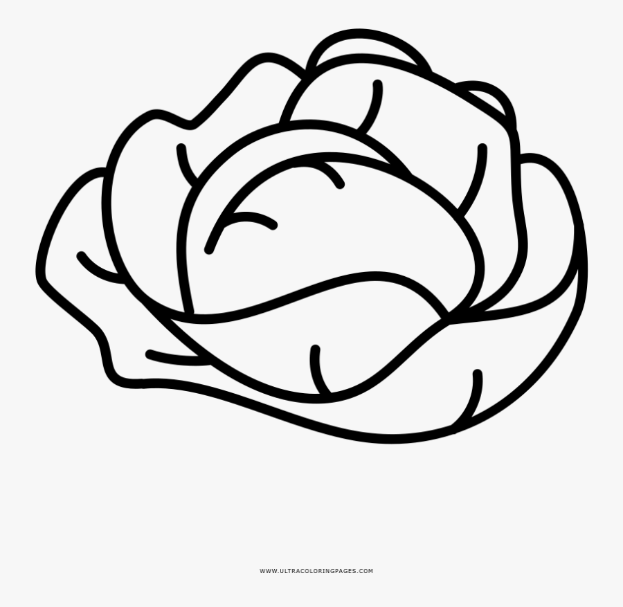 Lettuce Coloring Page - Line Art , Free Transparent Clipart - ClipartKey