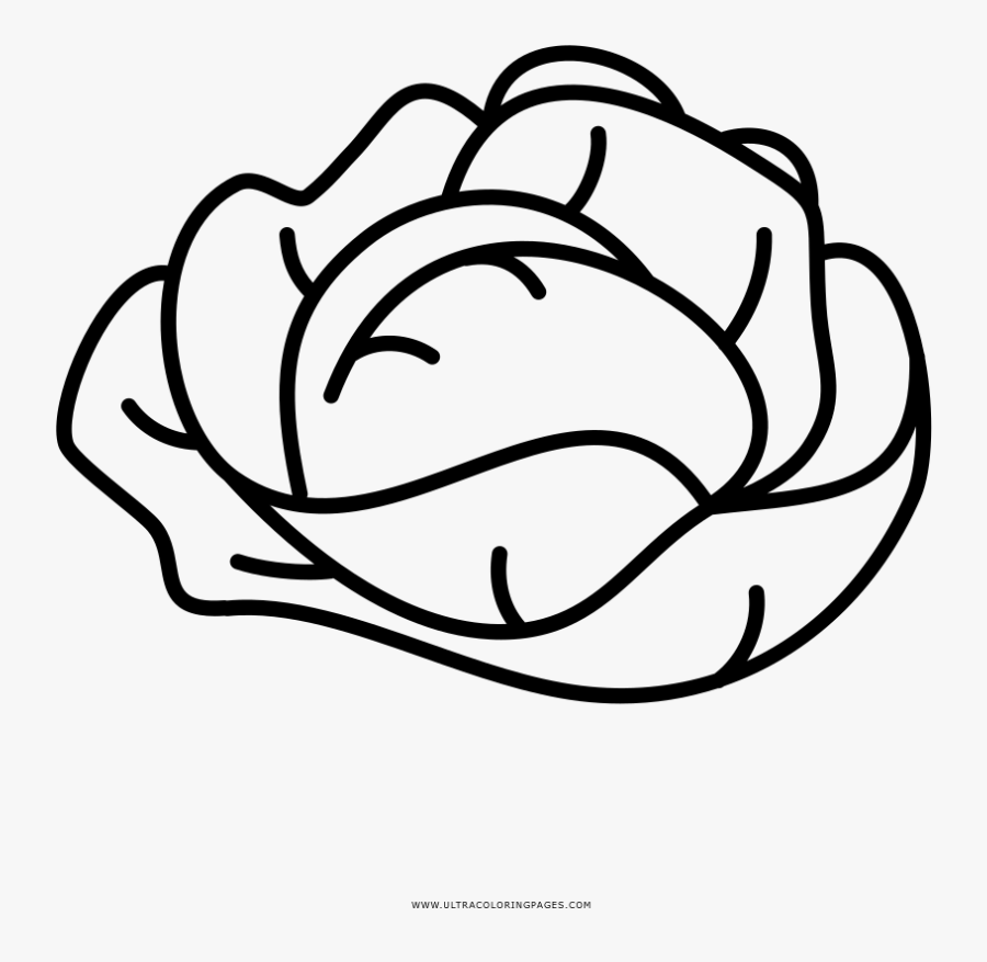 Lettuce Coloring Page - Line Art, Transparent Clipart